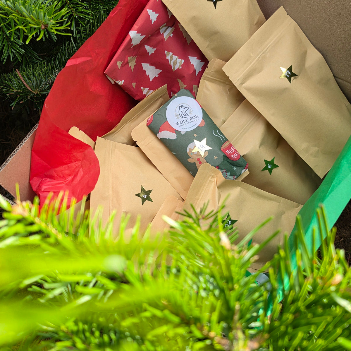Adventskalender A Chewie Christmas | PRE-ORDER